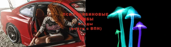 амф Горнозаводск