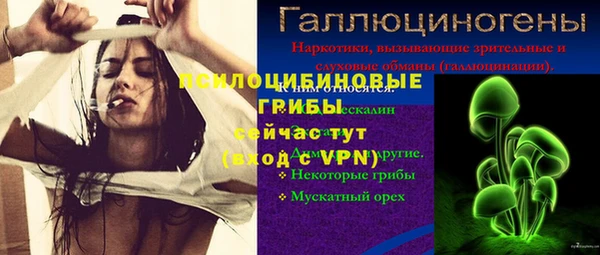 прущие крисы Алексеевка