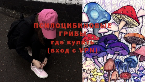 таблы Алексин