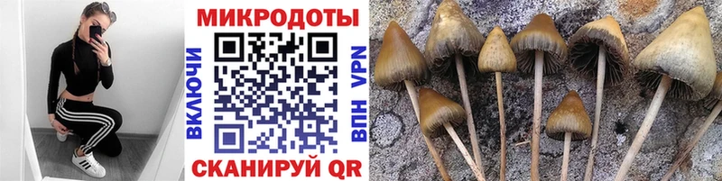 сайты даркнета какой сайт  Новоузенск  Галлюциногенные грибы Magic Shrooms  наркота 