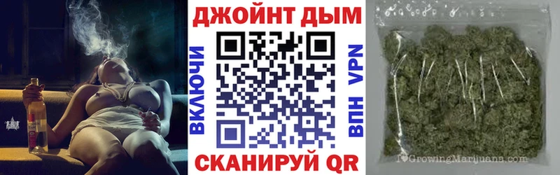 Бошки марихуана план  хочу наркоту  hydra зеркало  Новоузенск 